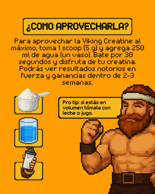 VIKING CREATINE - Creatina Monohidratada // 100 Servicios